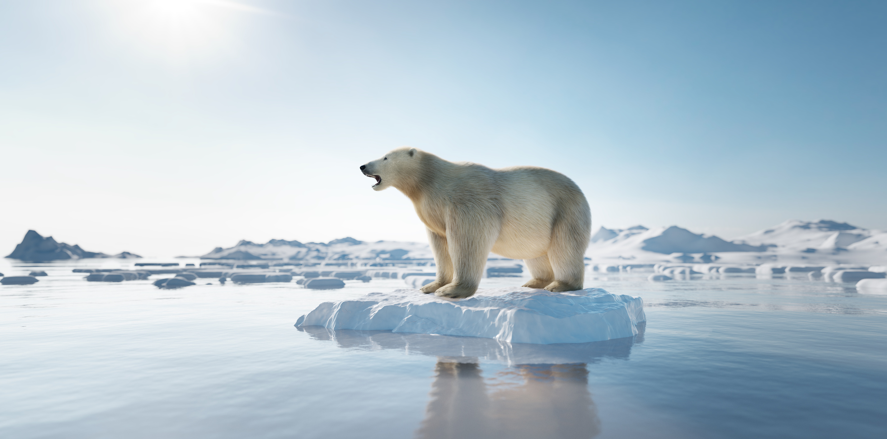 Polar Bear on Ice Floe